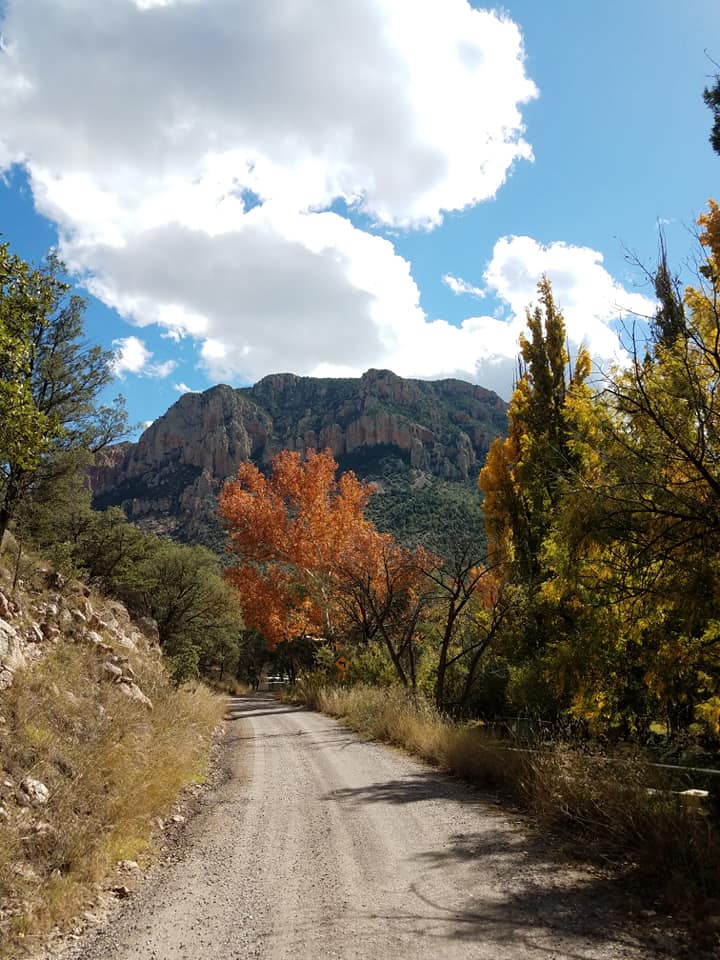 Cave Creek Canyon - Portal aZ